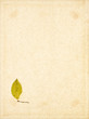 herbst blätter Papier hintergrund