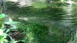 brook,stream,creek,watercourse