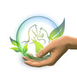 hand holding glasball with animals inside