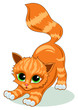 little kitten