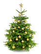 Foto: Dichter, gold geschmückter Weihnachtsbaum Dichter, gold geschmückter Weihnachtsbaum