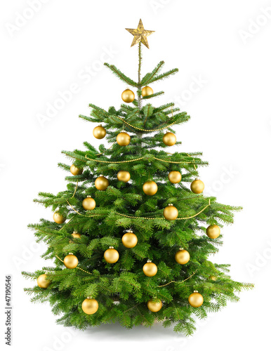 Photo: Dichter, gold geschmückter Weihnachtsbaum Dichter, gold geschmückter Weihnachtsbaum