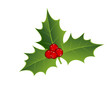 Mistletoe