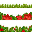 Borders Fir-tree Branches With Holly Berry