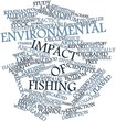 Word cloud for Environmental impact of fishing