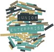 Word cloud for Junior enterprise