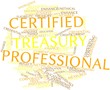 Word cloud for Certified Treasury Professional