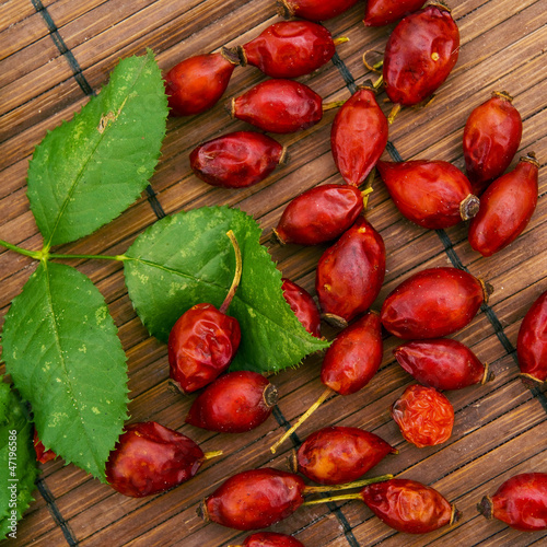 Photo: Ripe dog rose fruit Ripe dog rose fruit