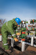 Gas Production Operator