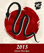 Chinese New Year of the Snake