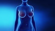 Female breast augmentation in time lapse
