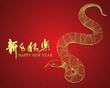 2013 Year of the Snake