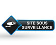 site sous surveillance sur bouton web carré design bleu
