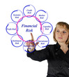 Foto: Diagram of financial risks Diagram of financial risks