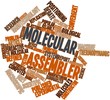 Word cloud for Molecular assembler
