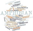 Word cloud for Amphibian