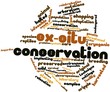 Word cloud for Ex-situ conservation