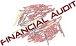 Word cloud for Financial audit