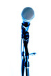 microphone blue