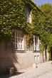 An ivy covered house in the french city of nantes.
