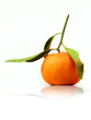 Isolated tangerine with leaves on white background