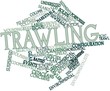 Word cloud for Trawling
