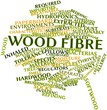 Word cloud for Wood fibre