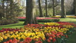 Park Keukenhof