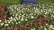 Park Keukenhof