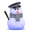 Officer Snowman patrols the garden