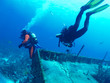 divers explore a wrack