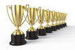 Trophy cups