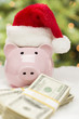 Photo: Pink Piggy Bank Wearing Santa Hat Near Stacks of Money on Snowfl Pink Piggy Bank Wearing Santa Hat Near Stacks of Money on Snowfl