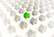 green house