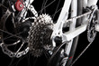 Bicycle gears and rear derailleur