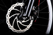 Bicycle disc brake
