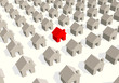 special house