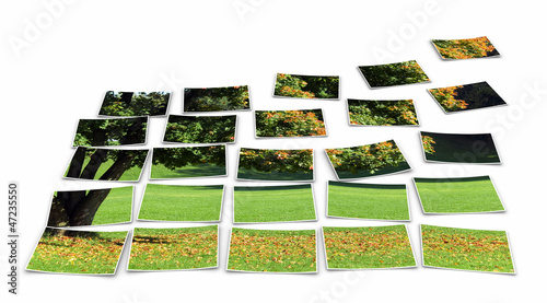 Illustration: FotoCollage - Baum im Herbst FotoCollage - Baum im Herbst