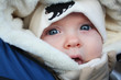 Photo: Close Up On A Winter Walk II Close Up On A Winter Walk II