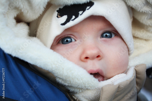 Photo: Close Up On A Winter Walk II Close Up On A Winter Walk II