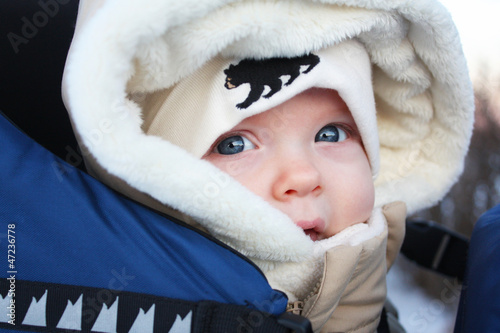 Photo: Close Up On A Winter Walk Close Up On A Winter Walk