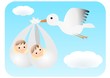 双子の赤ちゃんとコウノトリ