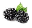 Blackberry with leaves