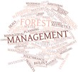 Word cloud for Forest management