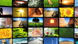Video: Montage Scenes of Childhood and Nature Montage Scenes of Childhood and Nature