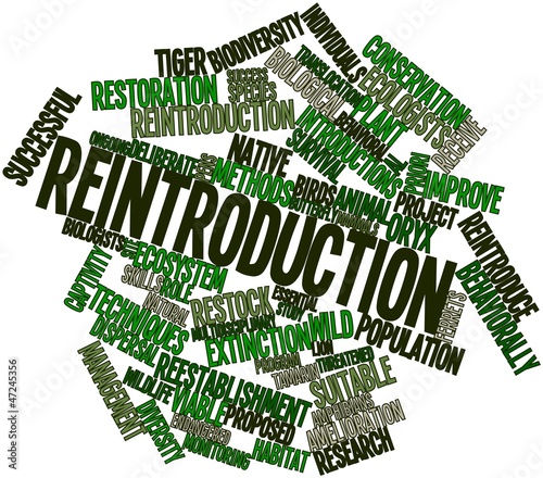 Illustration: Word cloud for Reintroduction Word cloud for Reintroduction