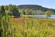 bas marais du Morvan