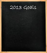 2013 Goals