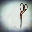 scissor shadow