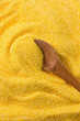Polenta
